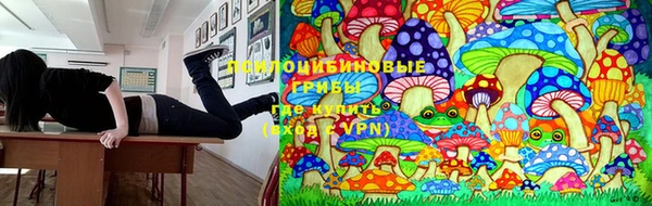 ПСИЛОЦИБИНОВЫЕ ГРИБЫ Кодинск