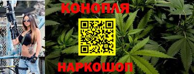 Альфа ПВП Аргун