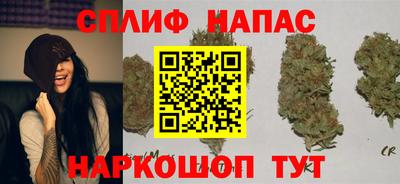 Альфа ПВП Аргун