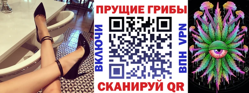 наркошоп  MEGA ONION  Галлюциногенные грибы мицелий  Ачинск 